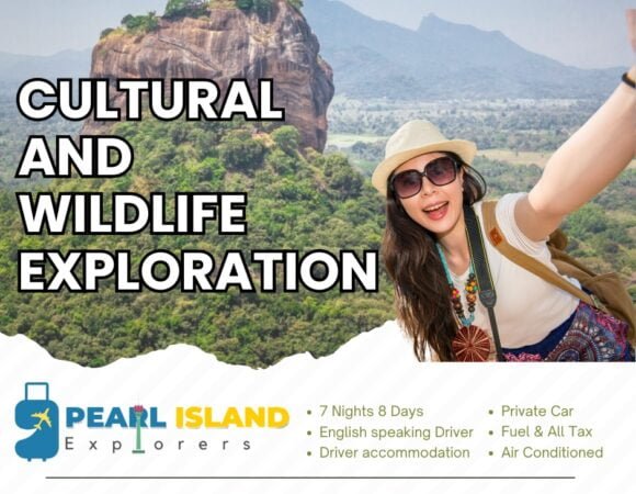 Cultural and Wildlife Exploration - 8 Days Tour