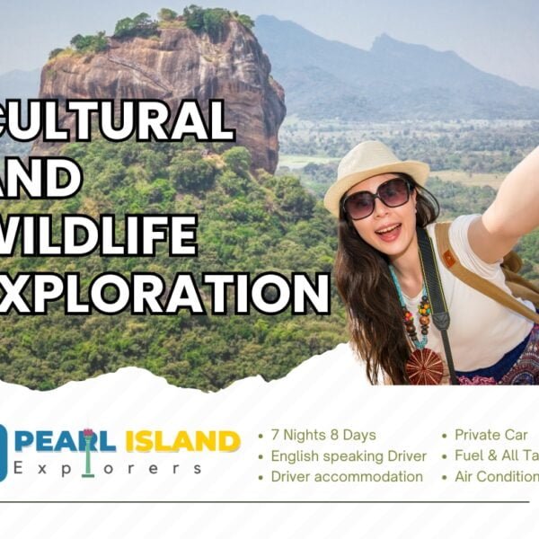 Cultural and Wildlife Exploration - 8 Days Tour